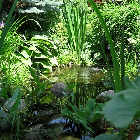 Naturkräuterhaus Eder Apartment Iselsberg