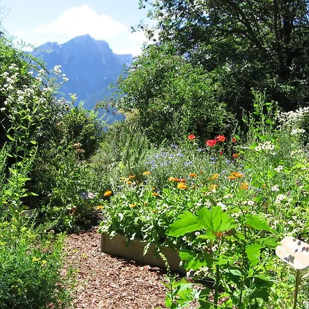 Naturkräuterhaus Eder * Iselsberg
